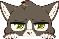 Peeking Stickers