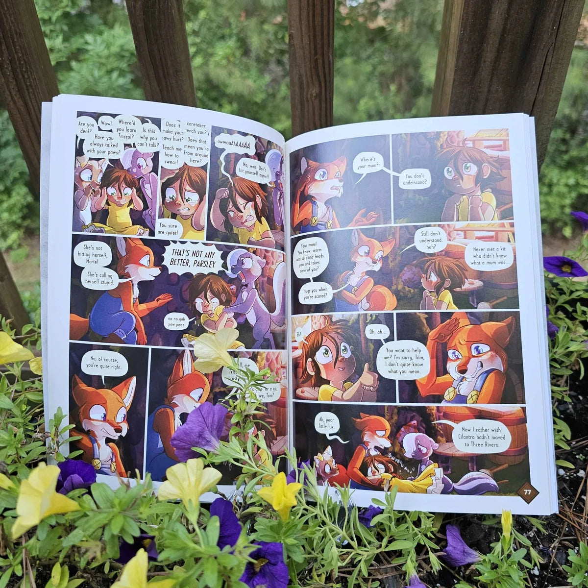 Softcover Bundle